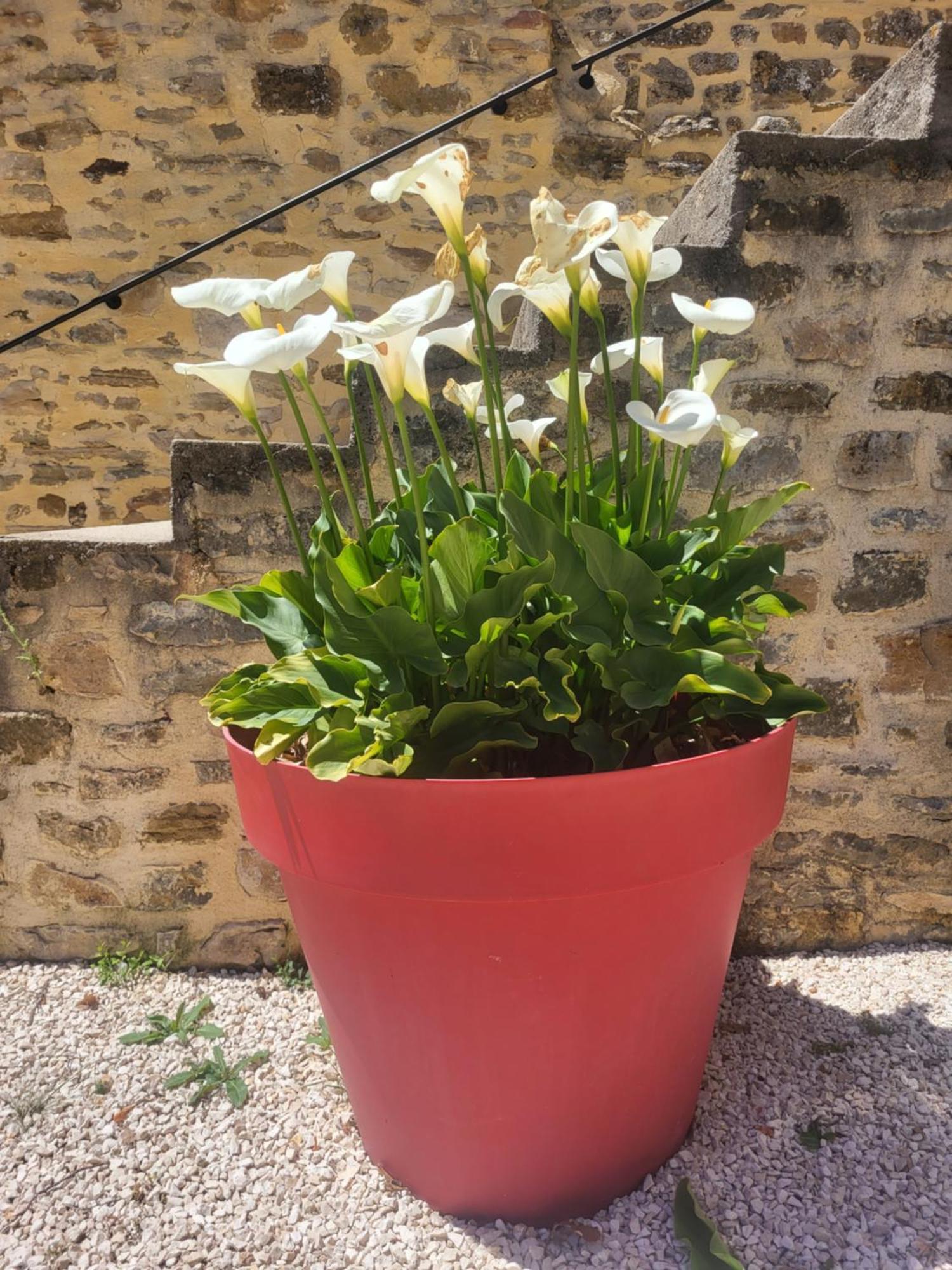 Bed and Breakfast Bastide De La Madeleine Pougnadoresse Exterior foto